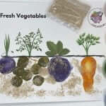Garden Fingerpainting Kit by Malaysia Toys - Vegetables