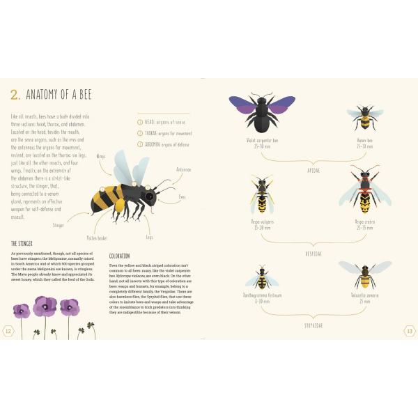 The World of Bees (Cristina Banfi) by Malaysia Toys