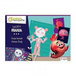 Avenue Mandarine Human Body Decal Kit by Malaysia Toys